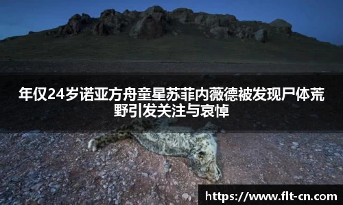 年仅24岁诺亚方舟童星苏菲内薇德被发现尸体荒野引发关注与哀悼